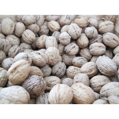 Noix de Grenoble AOC bio en...